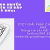 Máy đo huyết áp điện tử bắp tay BM 45